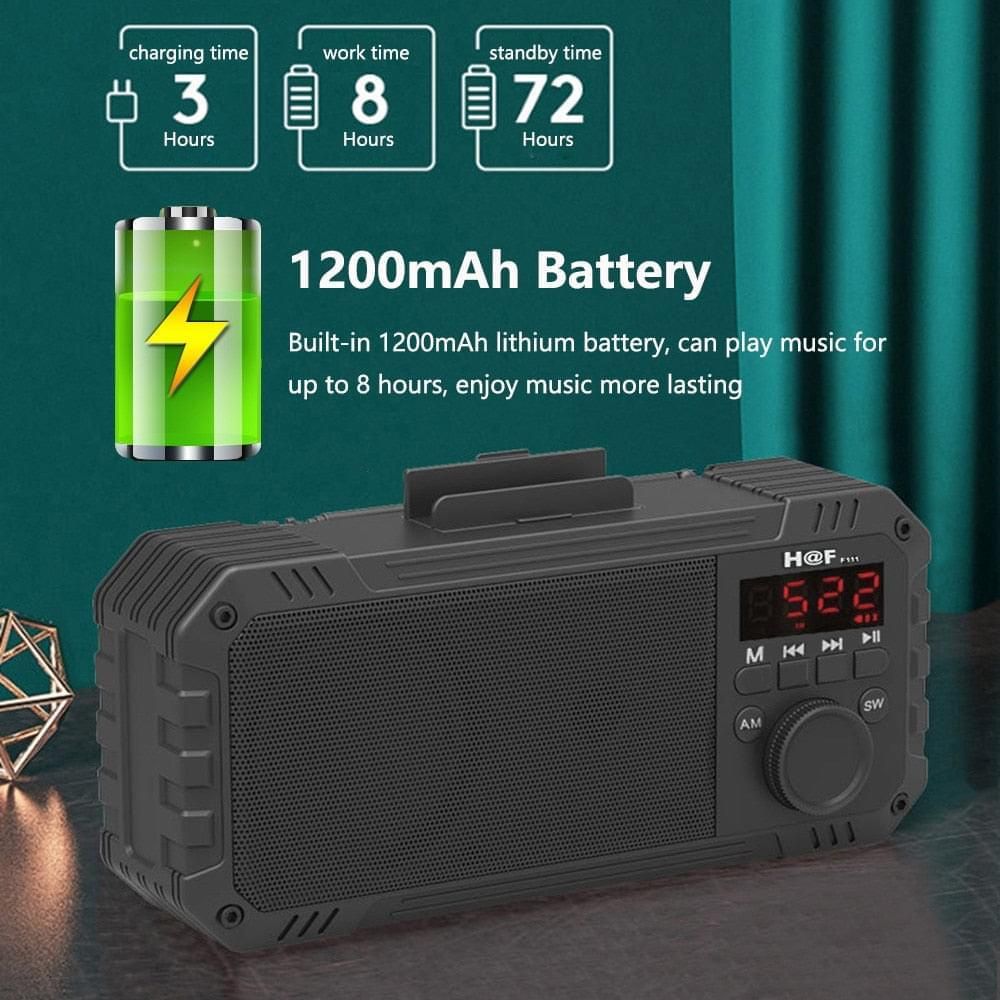 Bluetooth Portable Speaker with Radio Receiver | Hifi Media Store