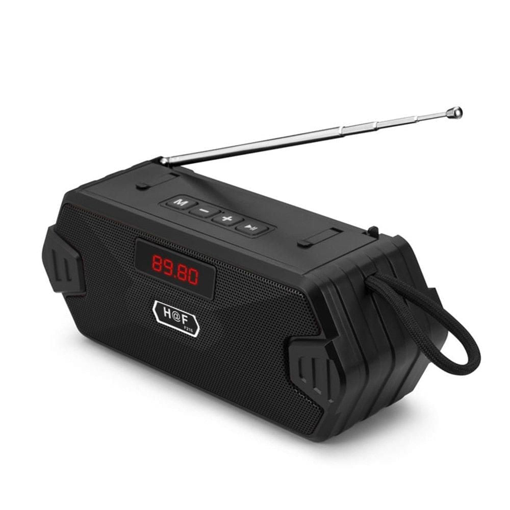 F216 Portable Bluetooth Speaker With FM Radio Global Black Speaker | Hifi Media Store