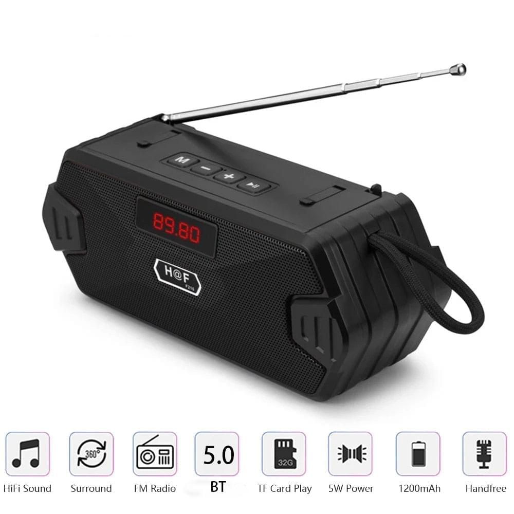 F216 Portable Bluetooth Speaker With FM Radio | Hifi Media Store