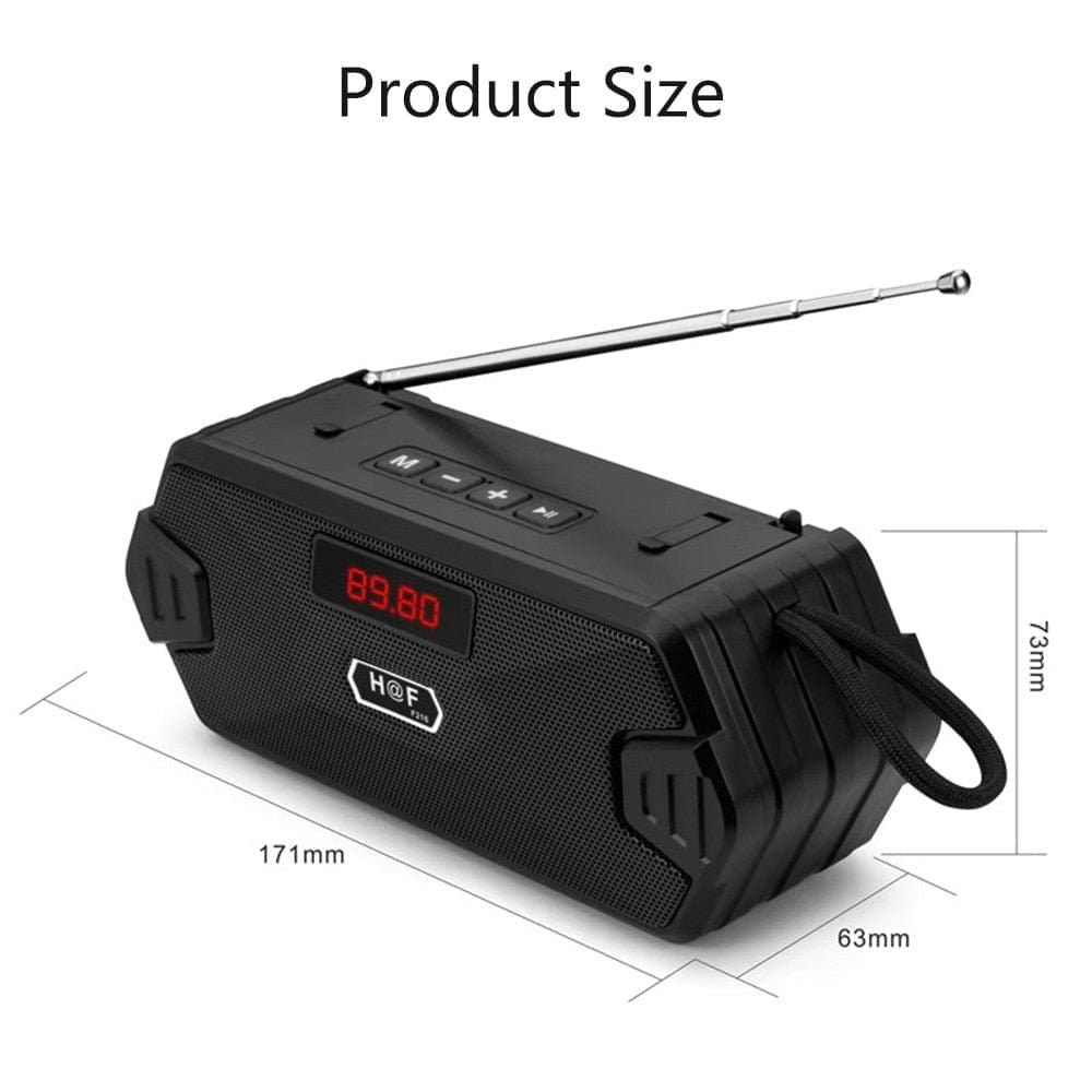 F216 Portable Bluetooth Speaker With FM Radio | Hifi Media Store