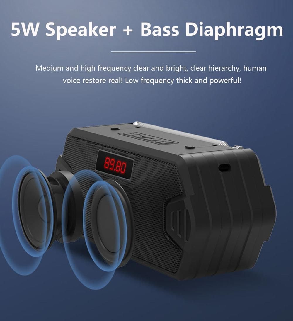 F216 Portable Bluetooth Speaker With FM Radio | Hifi Media Store