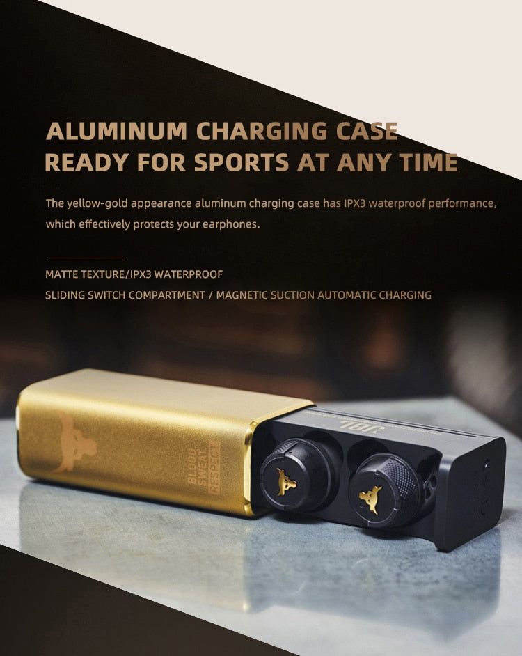 JBL UA FLASH PROJECT ROCK True Wireless Earbuds | Hifi Media Store