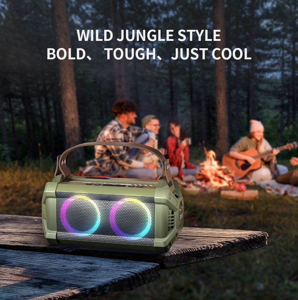 WildRock Portable Karaoke Speaker with Wireless Microphone | Hifi Media Store