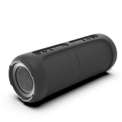 Avenzo AV-SP3003B - Altavoz Bluetooth 2 en 1 10W con Radio Negro Altavoces | AVENZO