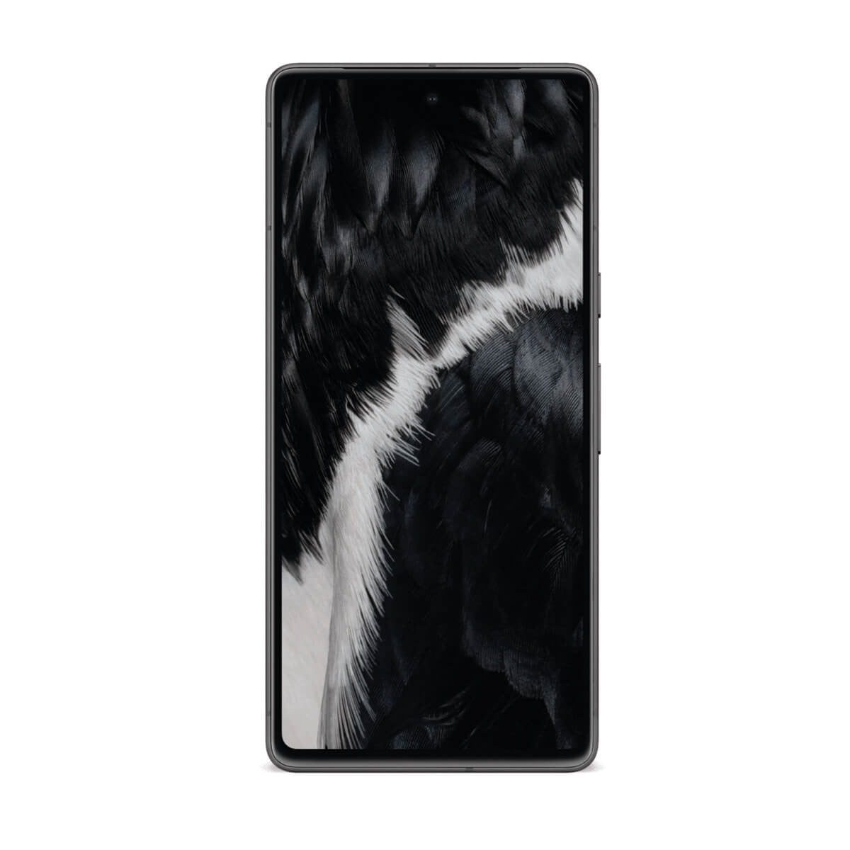 Google Pixel 7 5G 8GB 256GB Negro Obsidian Black Dual SIM GVU6C
