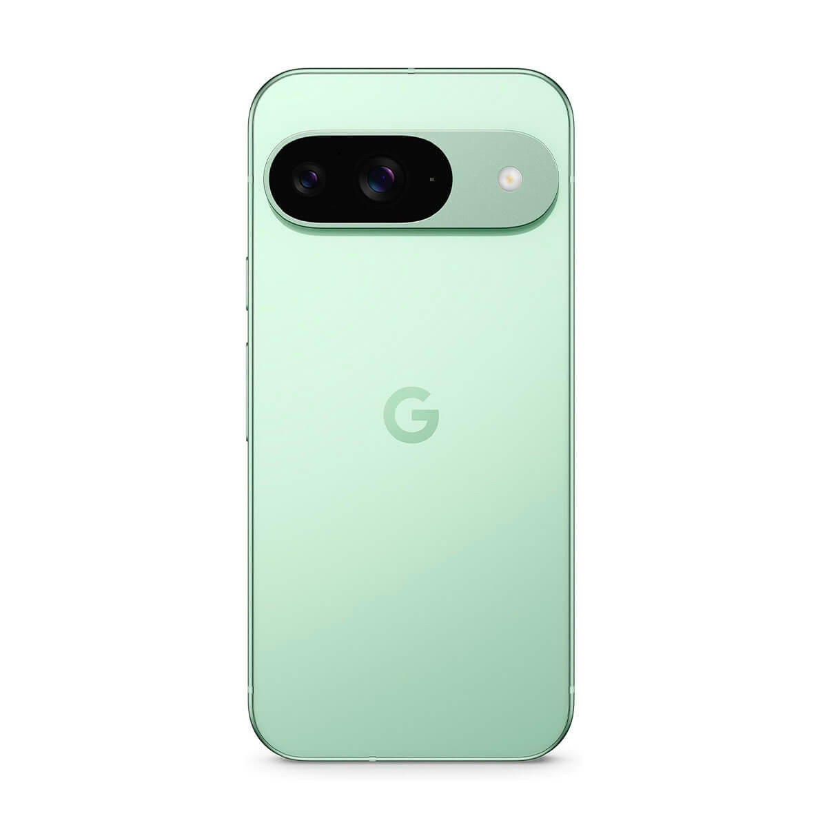 Google Pixel 9 5G 12GB/256GB Verde (Wintergreen) Dual SIM Smartphone | Google