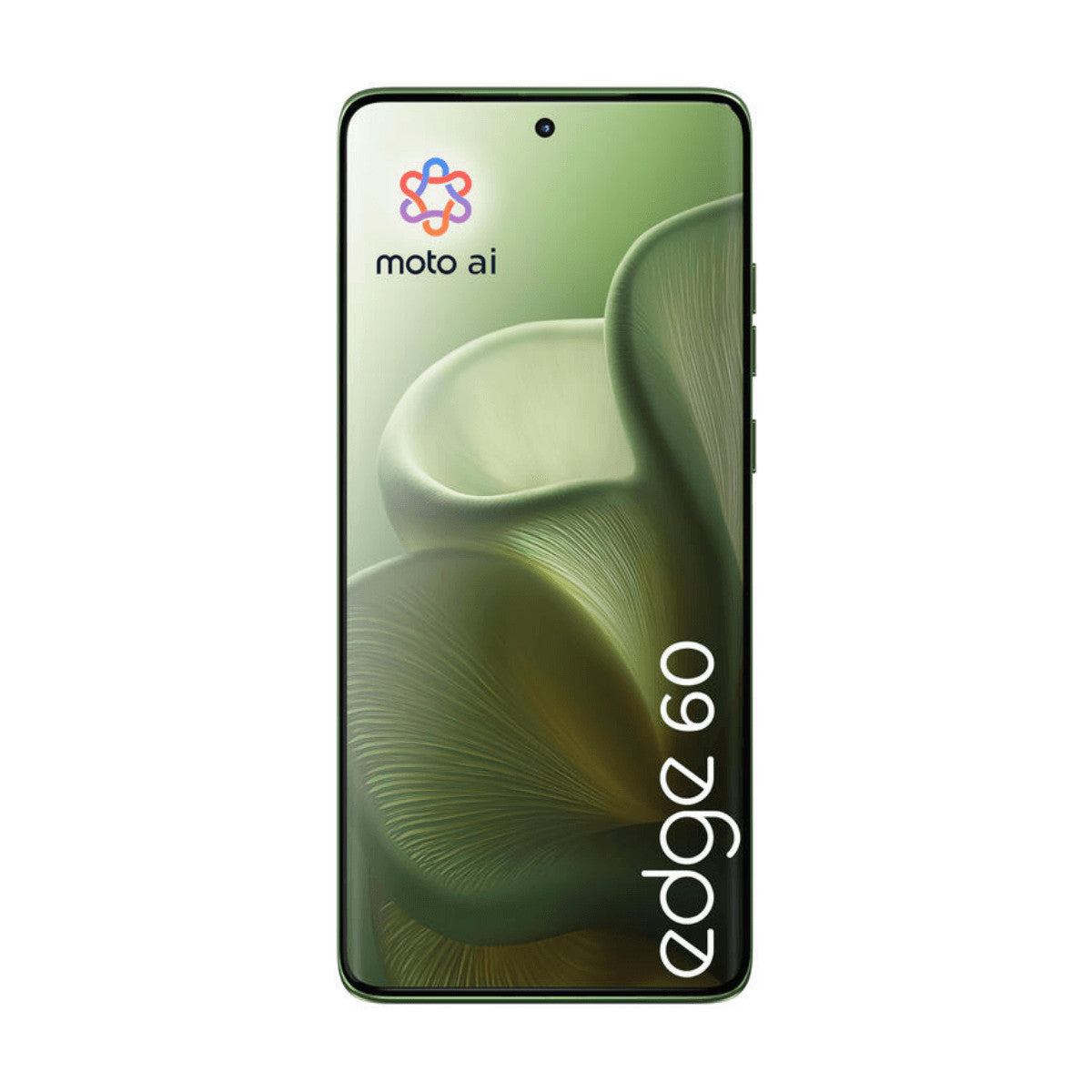 Motorola Edge 60 5G 8GB/512GB Verde (Shamrock) Dual SIM Smartphone | Motorola