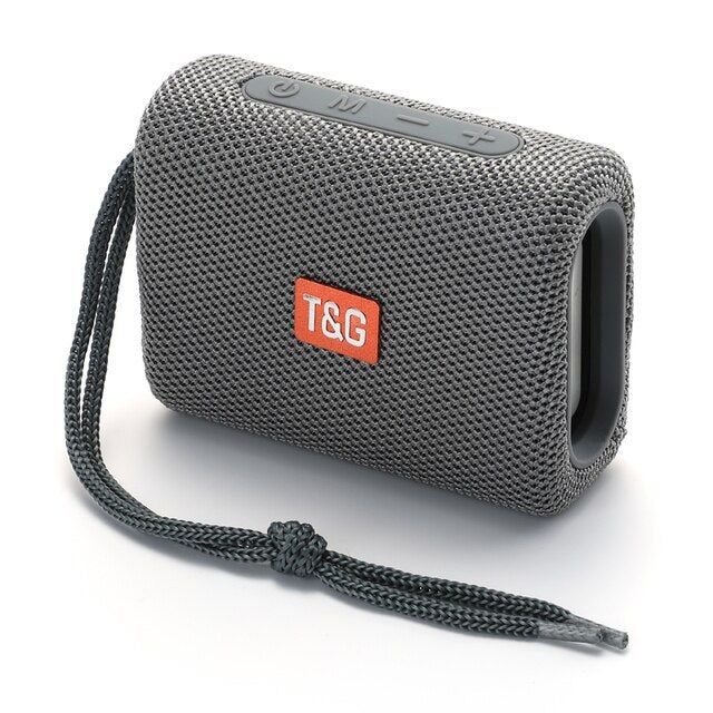 TG313 Portable Wireless Speaker Global gray Speaker | Hifi Media Store